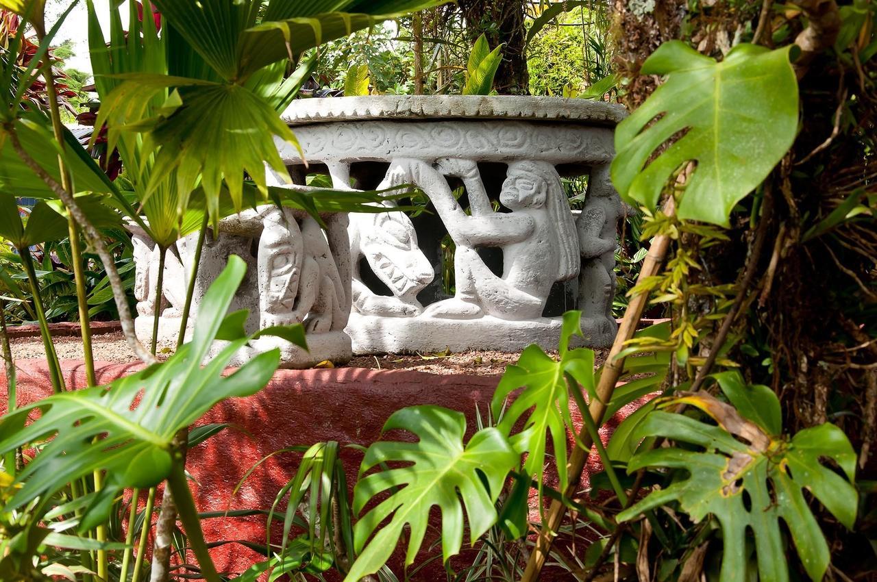 La Boruca Bed & Breakfast San Isidro  Exterior foto